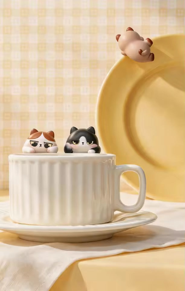 Picoco cuddle cat hipper blind box