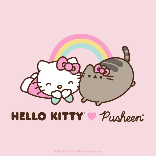 Hello Kitty X Pusheen Blind Box