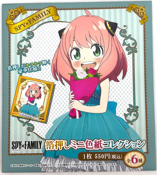 Spy X Family Card Board (1 Random)